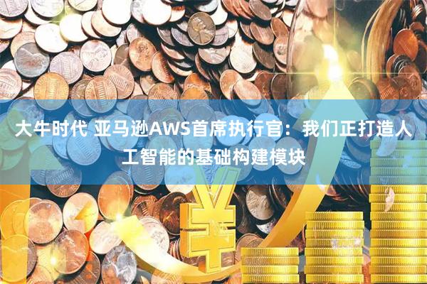 大牛时代 亚马逊AWS首席执行官：我们正打造人工智能的基础构建模块