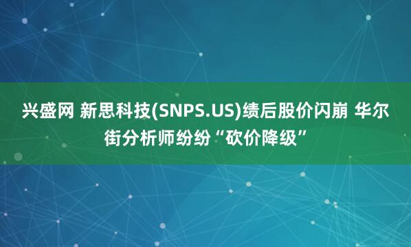 兴盛网 新思科技(SNPS.US)绩后股价闪崩 华尔街分析师纷纷“砍价降级”